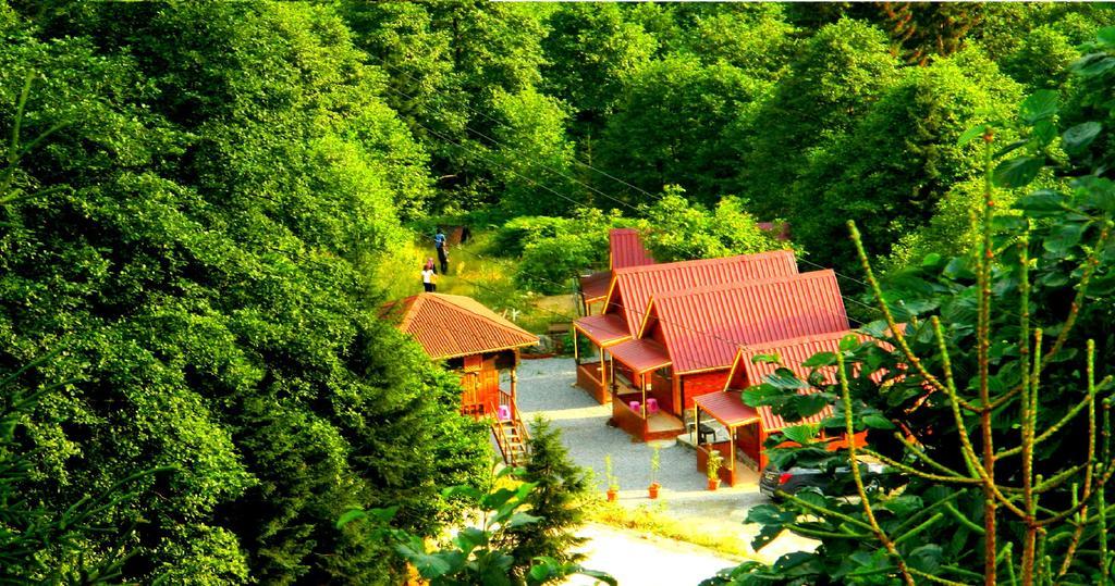 Ayder Selale Dag Evleri الغرفة الصورة